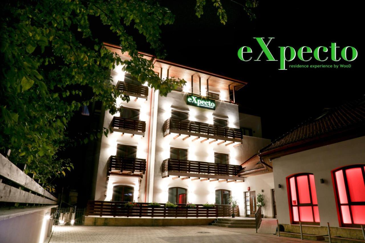Expecto 3* Sinaia